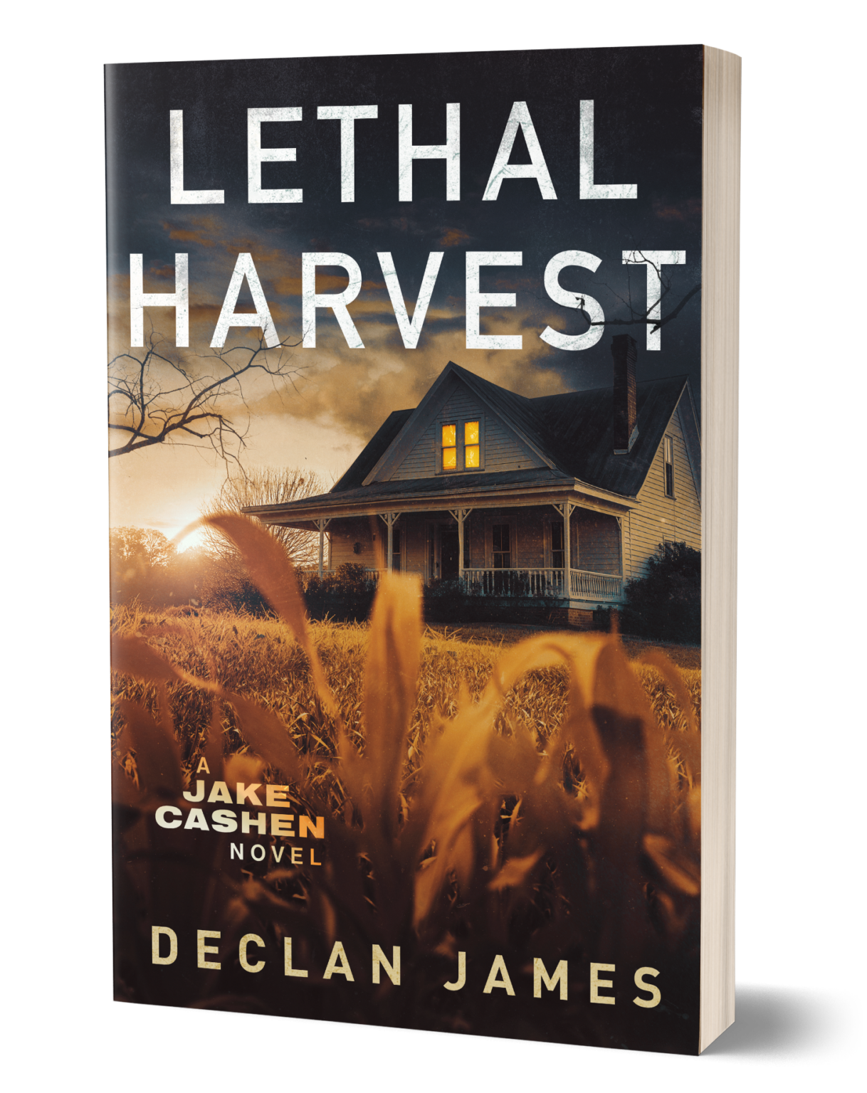 Lester Street Murders: The Shocking Twist You Won'T See Coming - ysx2haq